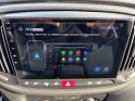 Fiat doblo cargo ft 1.3 multijet 95 pack professional garantie 12 mois attelage caméra de recul carplay rampe de toit...