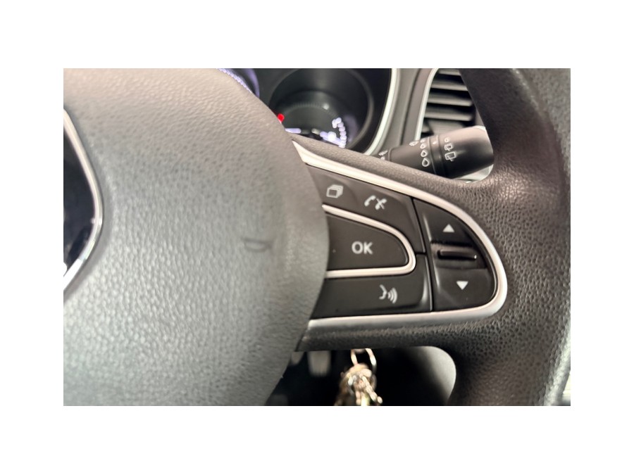 RENAULT d'occasion MEGANE TCE 130 LIMITED de 2018 Annecy (74)﻿