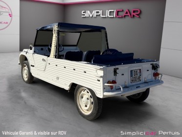 Citroen mehari 29 ch occasion simplicicar pertuis  simplicicar simplicibike france