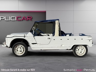 Citroen mehari 29 ch occasion simplicicar pertuis  simplicicar simplicibike france