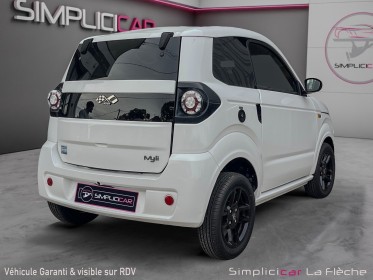 Ligier myli 0.5 dci ideal occasion simplicicar la fleche simplicicar simplicibike france