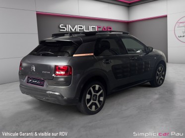 Citroen c4 cactus bluehdi 100 shine occasion simplicicar pau simplicicar simplicibike france