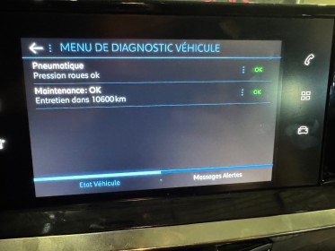 Peugeot 208 affaire societe 2 places bluehdi 100 ss bvm6 premium garantie 12 mois occasion montpellier (34) simplicicar...