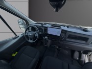 FORD d'occasion TRANSIT T350 L2H2 2.0 ECOBLUE 170 LIMITED de 2023
