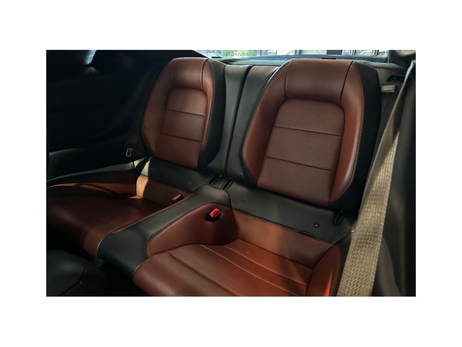 FORD d'occasion MUSTANG 2.3 ECOBOOST FASTBACK de 2017 Aix Les Bains