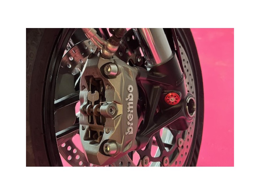 DUCATI d'occasion 959PANI PANIGALE de 2016 Carcassonne (11)﻿