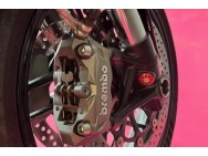 DUCATI d'occasion 959PANI PANIGALE de 2016 Carcassonne (11)﻿