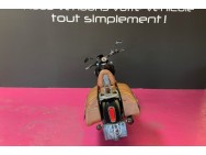 INDIAN d'occasion SCOOT SCOOT de 2015 Carcassonne (11)﻿