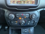 JEEP d'occasion RENEGADE 1.6 MULTIJET 120 de 2018 Pertuis (84)﻿