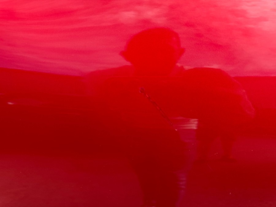 RENAULT d'occasion KADJAR 1.6 DCI 130 INTENS X-TRONIC de 2018 Beaune