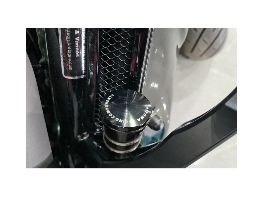 HARLEY DAVIDSON d'occasion VRSCDX VRS de 2014 Montreuil (93)﻿