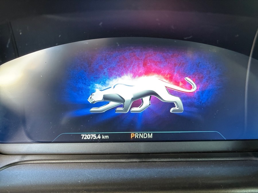 FORD d'occasion PUMA 1.0 ECOBOOST 155 MHEV ST-LINE V de 2022 Nice