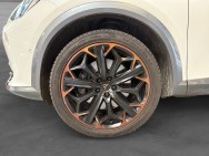 CUPRA d'occasion DSG 2.0 TSI 310 VZ TRIBE EDITION 4DRIVE DSG de 2022