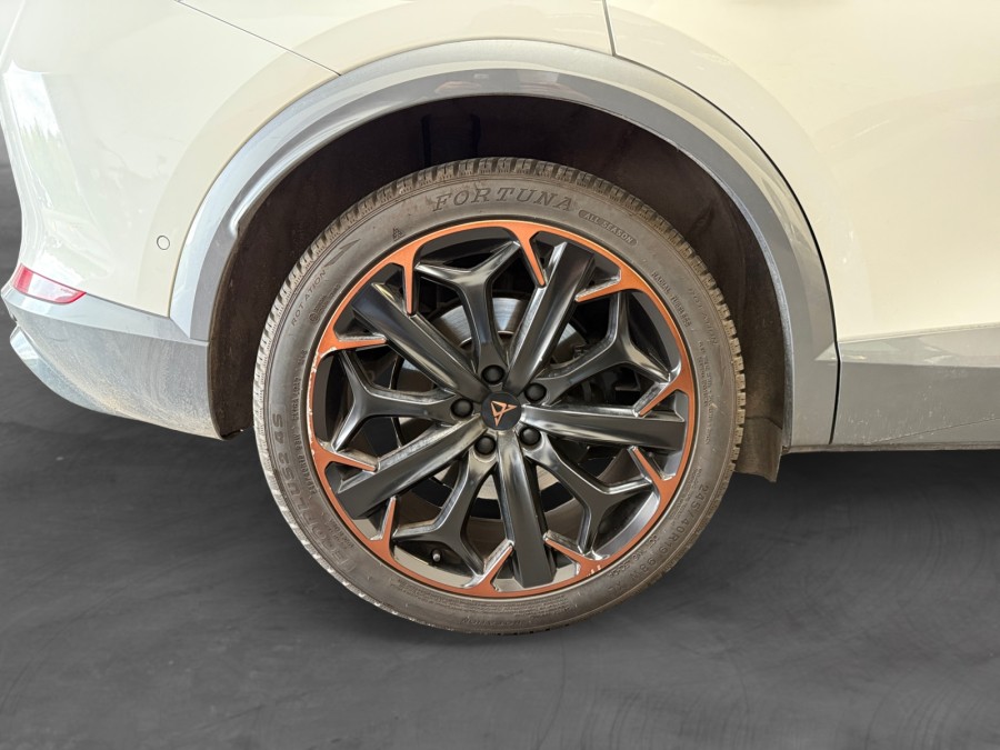 CUPRA d'occasion DSG 2.0 TSI 310 VZ TRIBE EDITION 4DRIVE DSG de 2022