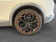CUPRA d'occasion DSG 2.0 TSI 310 VZ TRIBE EDITION 4DRIVE DSG de 2022