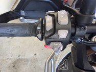 TRIUMPH d'occasion TIGER 900 TRIUMPH TIGER 900 RALLYE PRO de 2025