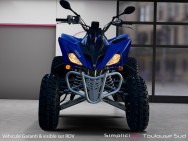 YAMAHA d'occasion YZFR1 QDY250R de 2009 Toulouse Sud (31)﻿