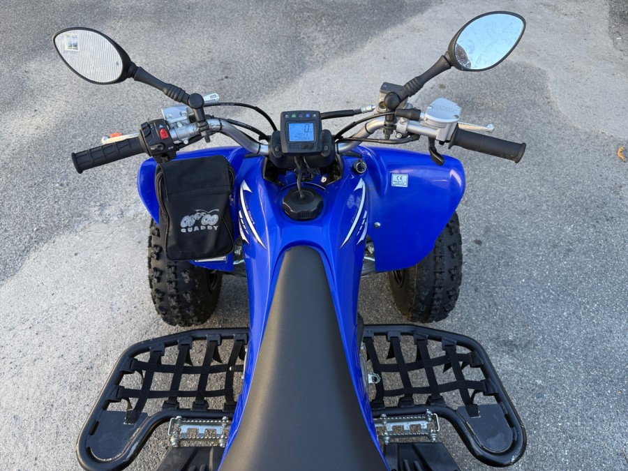 YAMAHA d'occasion YZFR1 QDY250R de 2009 Toulouse Sud (31)﻿