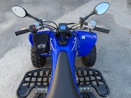 YAMAHA d'occasion YZFR1 QDY250R de 2009 Toulouse Sud (31)﻿