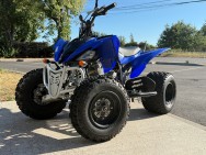 YAMAHA d'occasion YZFR1 QDY250R de 2009 Toulouse Sud (31)﻿