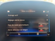 RENAULT d'occasion SCENIC GRAND 1.3 TCE 140 BUSINESS INTENS 7P de