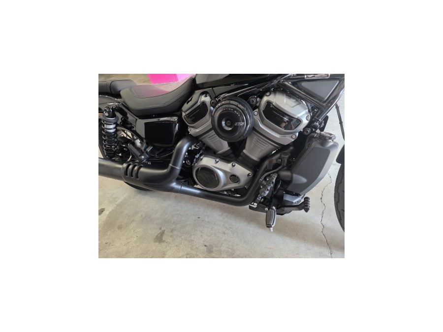 HARLEY DAVIDSON d'occasion nighter spécial 975 Nightster Special 975