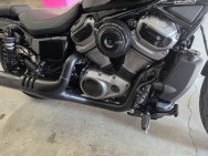 HARLEY DAVIDSON d'occasion nighter spécial 975 Nightster Special 975
