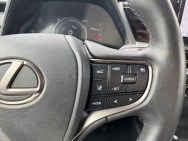 LEXUS d'occasion UX 250h Pack Business Plus 2WD de 2022 Troyes (10)﻿