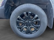 FORD d'occasion RANGER 2.0 ECOBLUE 4X4 230cv Wildtrak de 2021 Arras