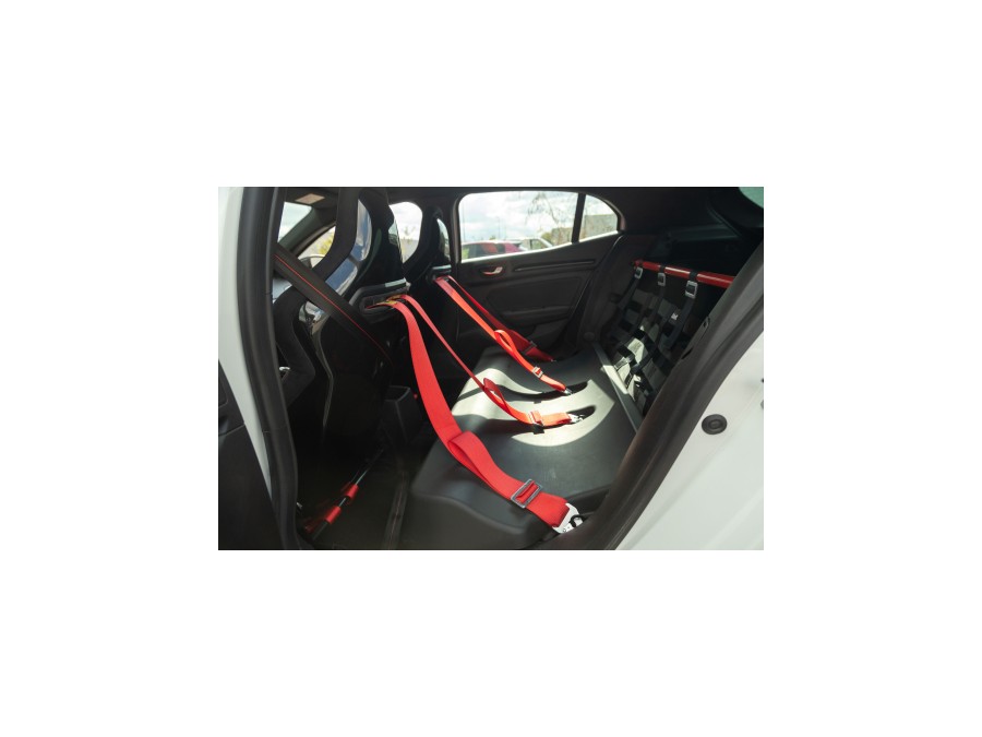 RENAULT d'occasion MEGANE 1.8 T 300ch RS Trophy-R de 2021 Troyes (10)﻿