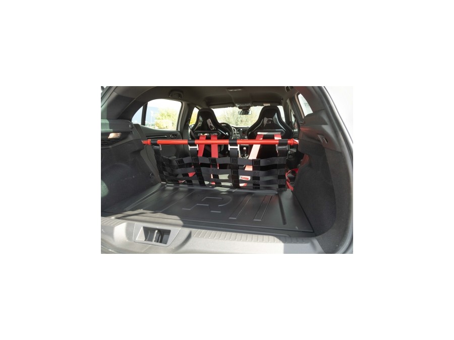 RENAULT d'occasion MEGANE 1.8 T 300ch RS Trophy-R de 2021 Troyes (10)﻿
