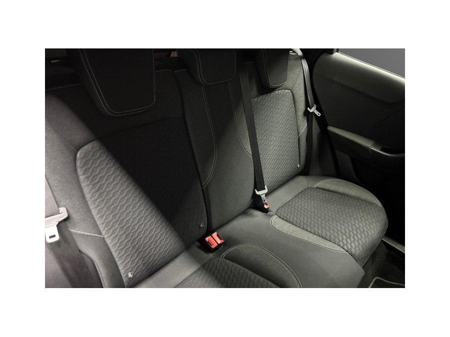 FORD d'occasion PUMA 1.0 ECOBOOST 125 MHEV TITANIUM BUSINESS de 2020