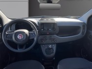 FIAT d'occasion PANDA CLASSIC 1.0 BSG 70 HYBRID ICONE de 2026 Royan