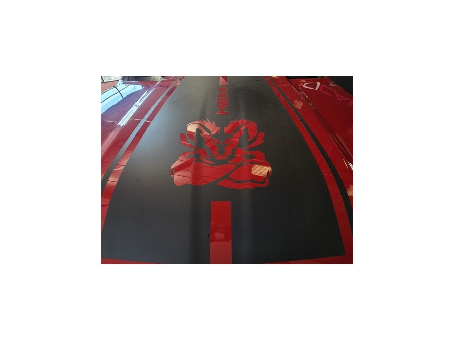 DODGE d'occasion RAM 5.7 V8 4X4 PICK UP AUTO de 2021 Aix Les Bains