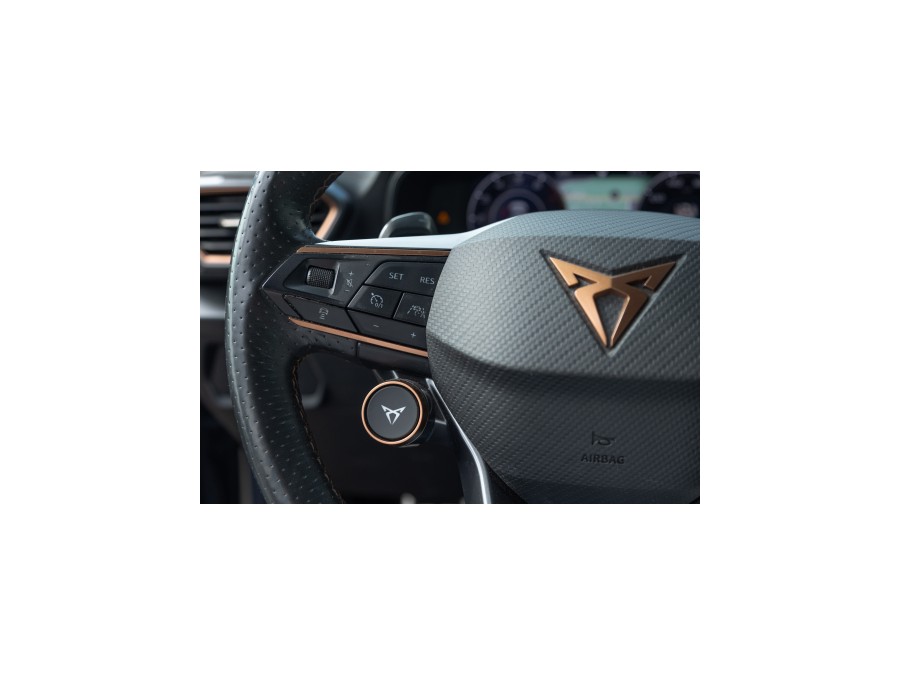 CUPRA d'occasion DSG 2 TSI 310 4DRIVE VZ DSG AUTO de 2020 Troyes (10)﻿