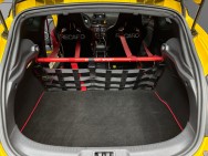 RENAULT d'occasion MEGANE 2.0 16V 265 RS de 2014 Pau (64)﻿