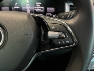 SKODA d'occasion KODIAQ 2.0 TDI 150 SCR BUSINESS DSG 7P de 2024