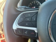 JEEP d'occasion RENEGADE 1.6 MULTIJET 120 S de 2019 Toulouse Sud (31)﻿