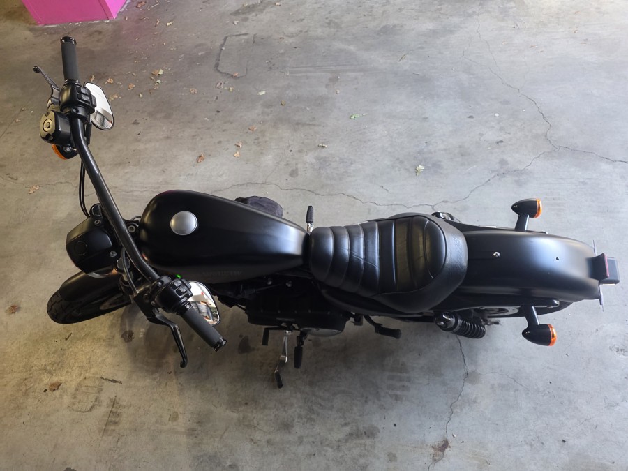 HARLEY DAVIDSON d'occasion SPORTSTER HARLEY DAVIDSON SPORTSTER 883 XL