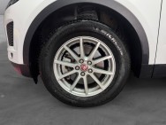 JAGUAR d'occasion E-PACE D150 FWD R-DYNAMIC SE de 2019 Pau (64)﻿