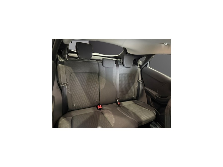 FORD d'occasion PUMA 1.0 ECOBOOST 125 MHEV TITANIUM BUSINESS de 2020