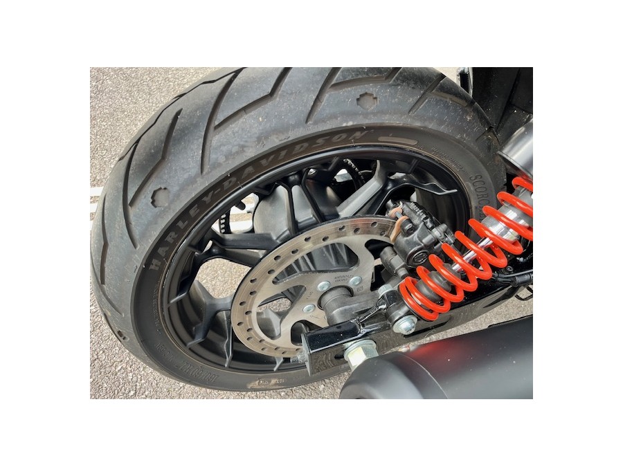 HARLEY DAVIDSON d'occasion STREETROD MOTO de 2020 Vernon (27)﻿