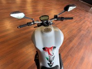 DUCATI d'occasion M821 Monster de 2016 Saint Nazaire (44)﻿