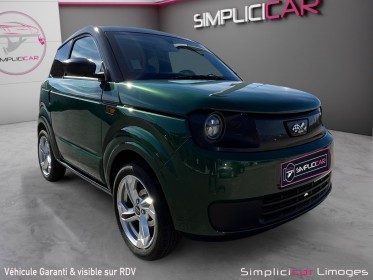 Ligier myli 8kwh e.pic occasion simplicicar limoges  simplicicar simplicibike france
