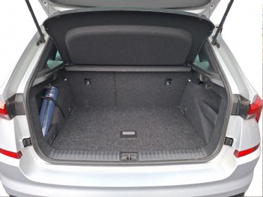 Skoda kamiq 1.0 tsi evo 110 ch dsg7 monte-carlo  pack hiver occasion simplicicar velay simplicicar simplicibike france