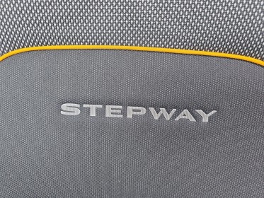 Dacia sandero eco-g 100 stepway confort révisée garantie 12 mois occasion simplicicar vichy simplicicar simplicibike france
