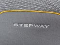 Dacia sandero eco-g 100 stepway confort révisée garantie 12 mois occasion simplicicar vichy simplicicar simplicibike france