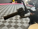 Indian ftr sport ftr sport garantie constructeur occasion  simplicicar aix les bains simplicicar simplicibike france