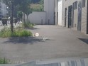 Bmw serie 1 f40 118d 150 ch bva8 m sport entretien bmw garantie constructeur toit ouvrant sièges Électriques occasion...