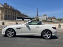 Mercedes slk 200 k blueefficiency a occasion paris 15ème (75) simplicicar simplicibike france